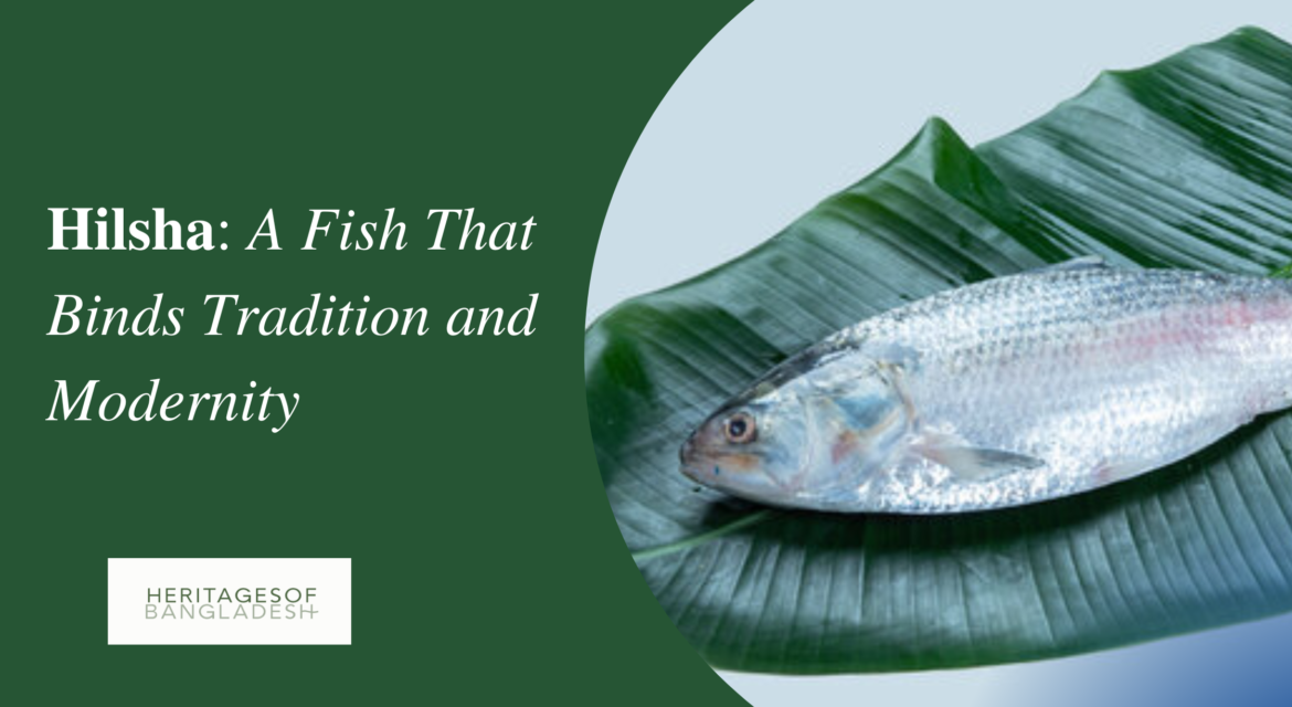 Hilsha: A Fish That Binds Tradition and Modernity