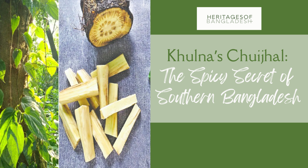 Khulna’s Chuijhal: The Spicy Secret of Southern Bangladesh